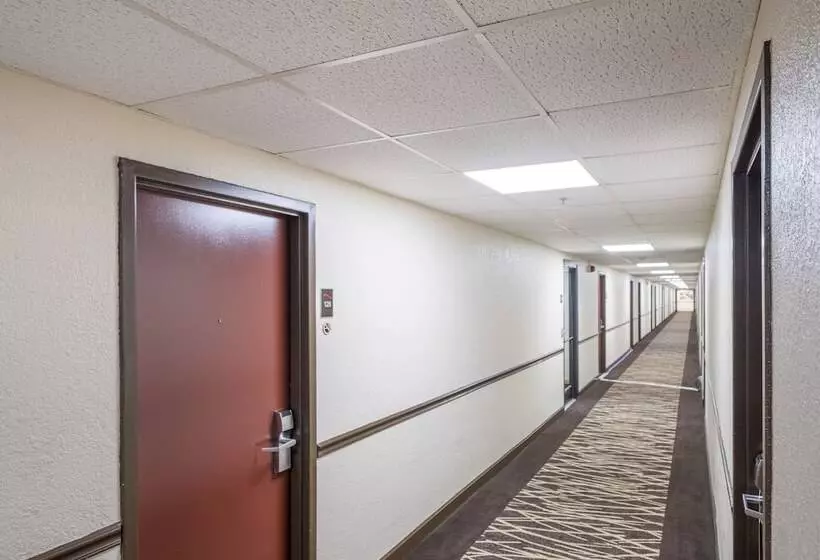 ホテル Red Roof Inn Knoxville Central – Papermill Road