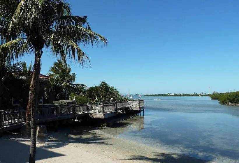 リゾートホテル Courtyard By Marriott Key West Waterfront