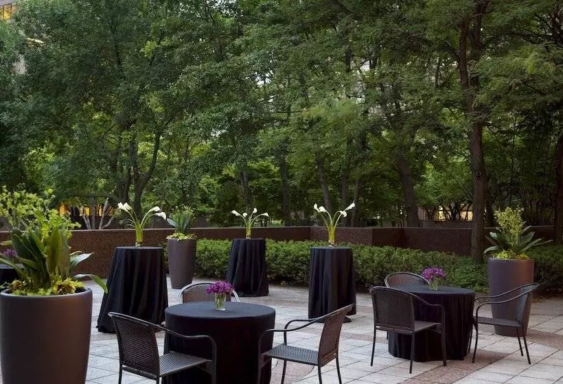 酒店 Chicago Marriott Suites O'hare