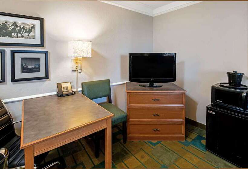 هتل La Quinta Inn By Wyndham Amarillo Midcity