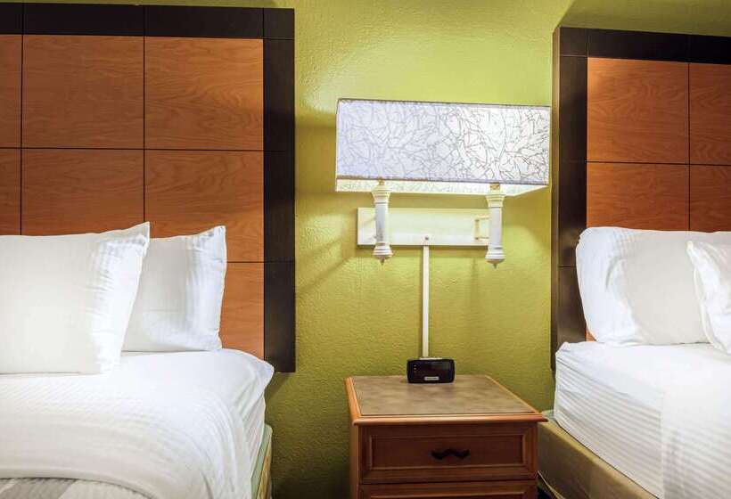 هتل La Quinta Inn By Wyndham Amarillo Midcity