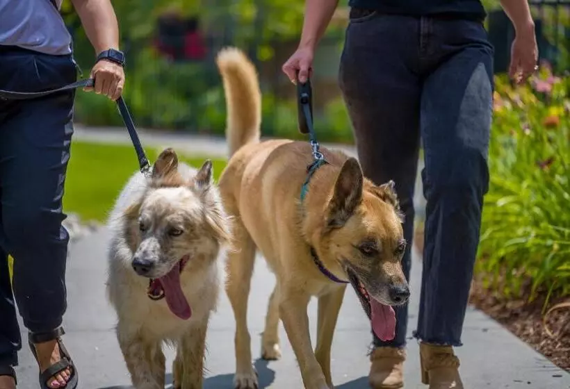 Отель Tenaya At Yosemite