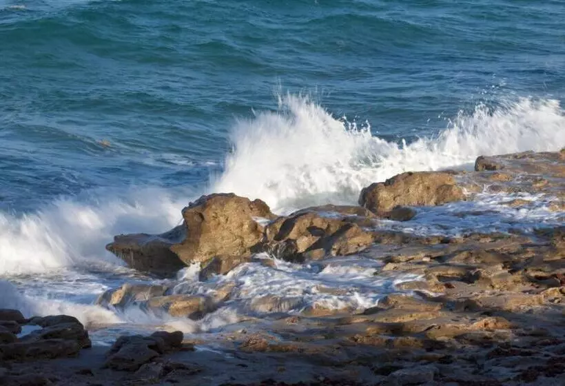 Jupiter Beach Resort & Spa