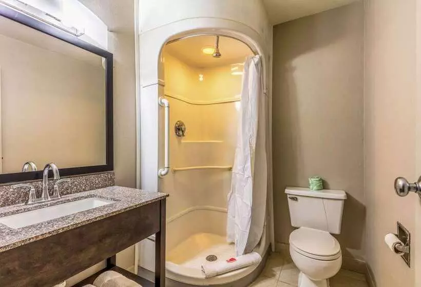 فندق على الطريق Econo Lodge