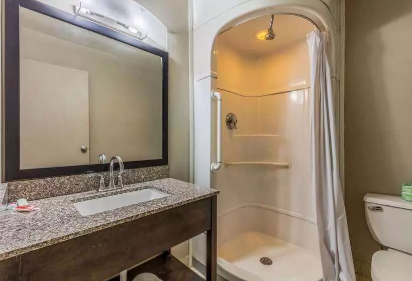 فندق على الطريق Econo Lodge