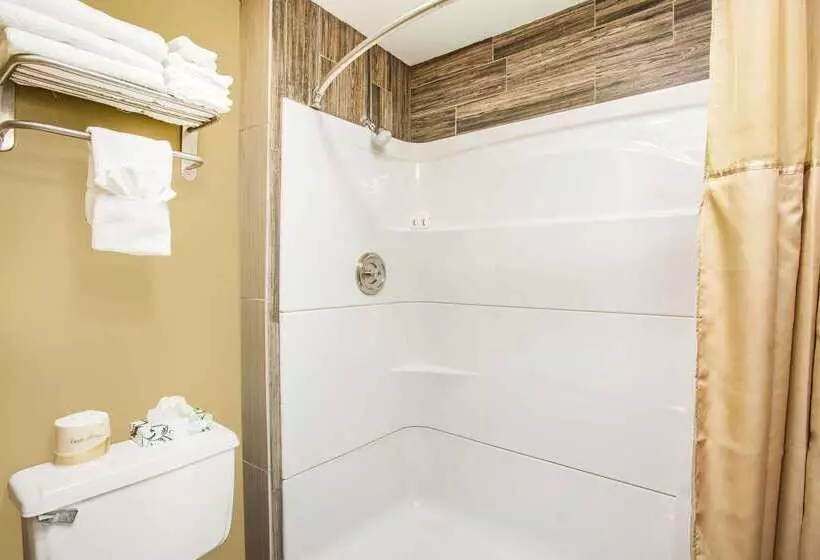 Мотель Super 8 By Wyndham Redlands/san Bernardino