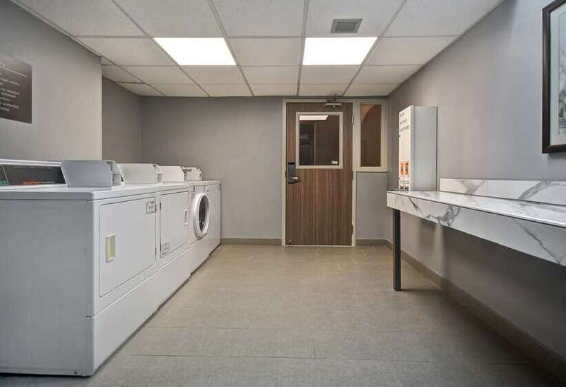 בית מלון כפרי Doubletree By Hilton St. Louis Airport