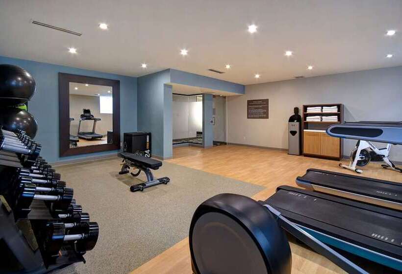 בית מלון כפרי Doubletree By Hilton St. Louis Airport