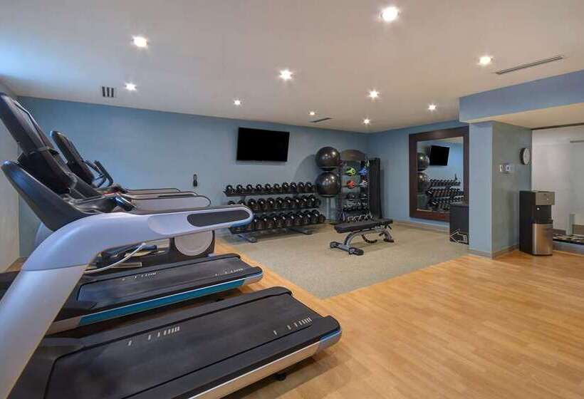 בית מלון כפרי Doubletree By Hilton St. Louis Airport