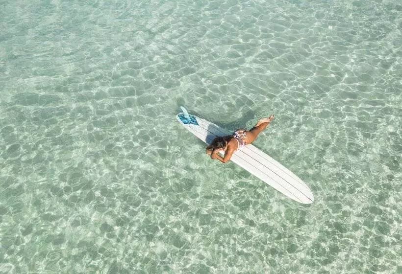 Отель Kaimana Beach