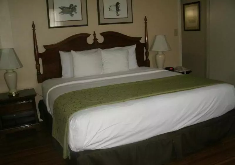 فندق Merry Acres Inn