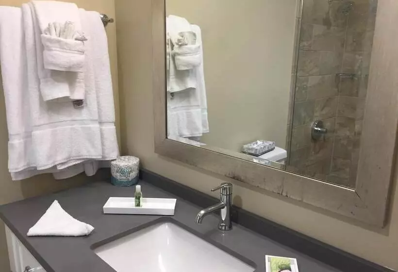 فندق Pacific Shores Inn