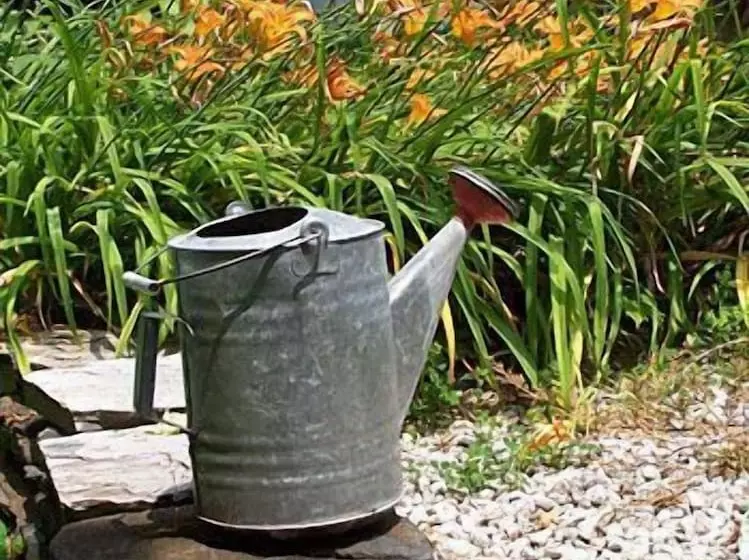 فندق Vervana, Trademark Collection By Wyndham