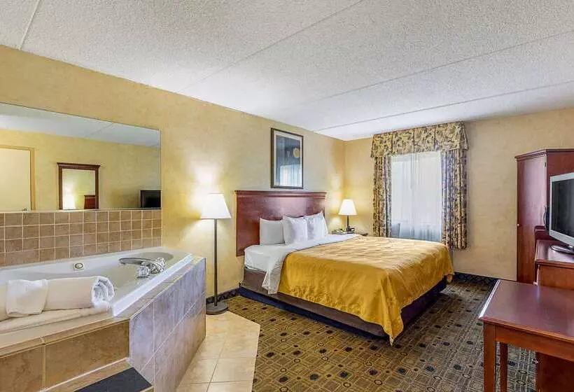 فندق Quality Inn & Suites Coldwater Near I69