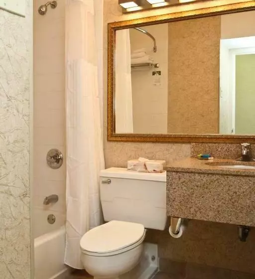 酒店 Radisson Rochester Airport