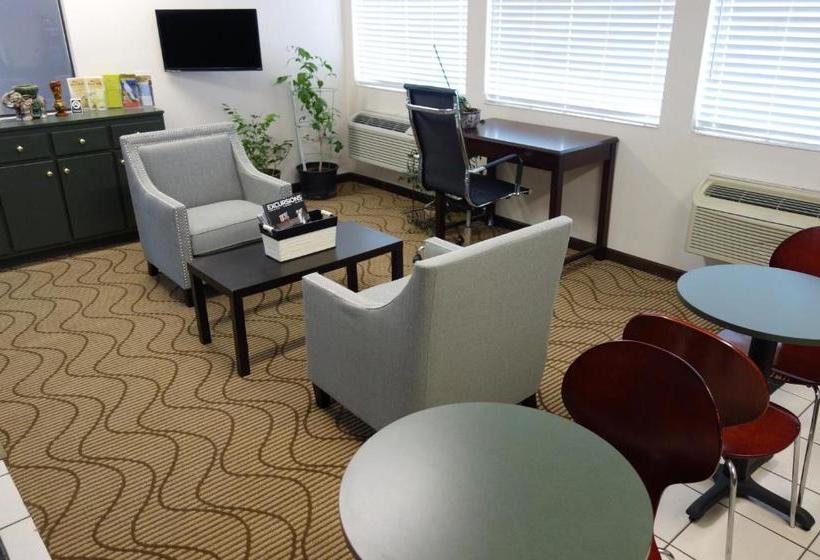 فندق Vip Inn And Suites