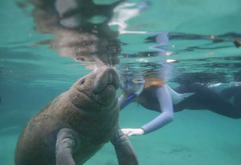 Plantation Resort On Crystal River, Ascend Hotel Collection