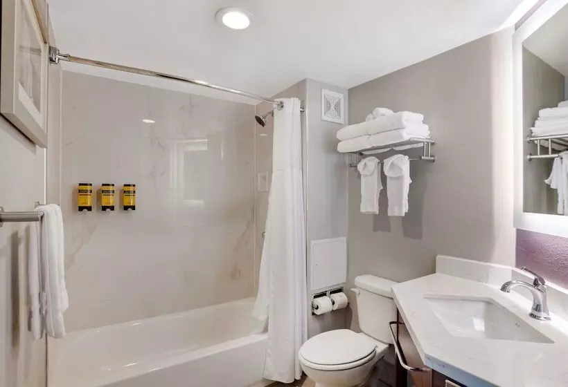 فندق Best Western Plus Commerce