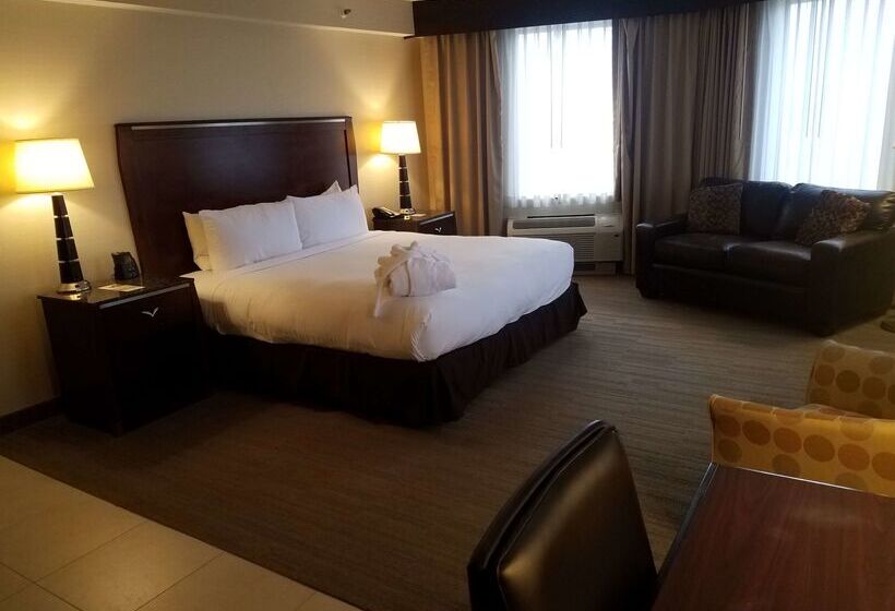 酒店 Doubletree By Hilton Denver Thornton