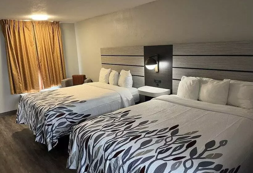 ホテル Red Roof Inn Dunn