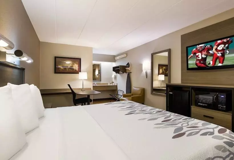 Отель Red Roof Inn Wilkesbarre Arena