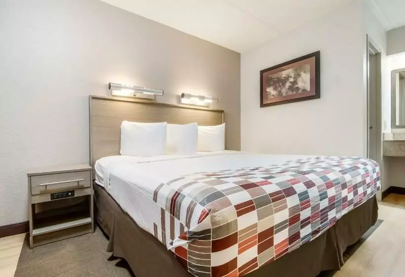 汽车旅馆  Red Roof Inn Detroit  Farmington Hills