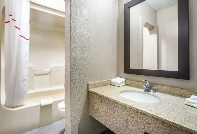 汽车旅馆  Red Roof Inn Detroit  Farmington Hills