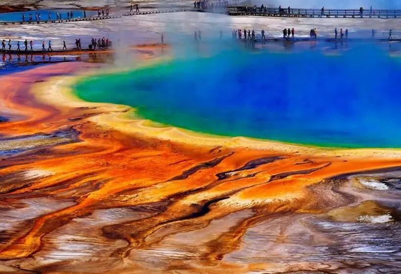 فندق Gravity Haus Jackson Hole