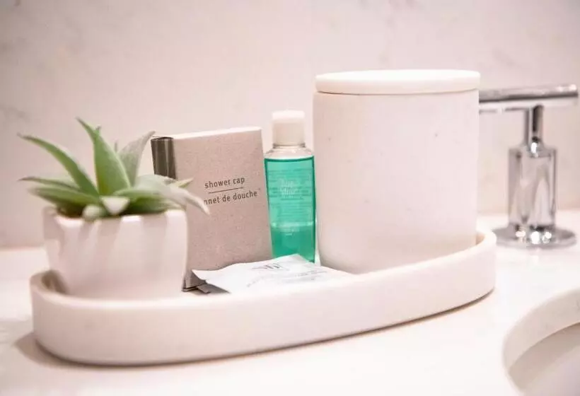 فندق Gravity Haus Jackson Hole