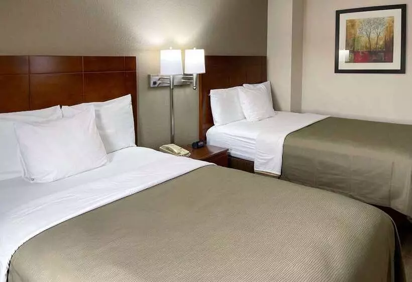 בית מלון כפרי Econo Lodge Cartersvilleemerson Lake Point