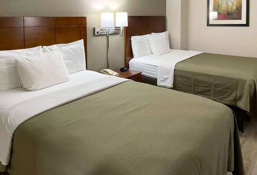 בית מלון כפרי Econo Lodge Cartersvilleemerson Lake Point