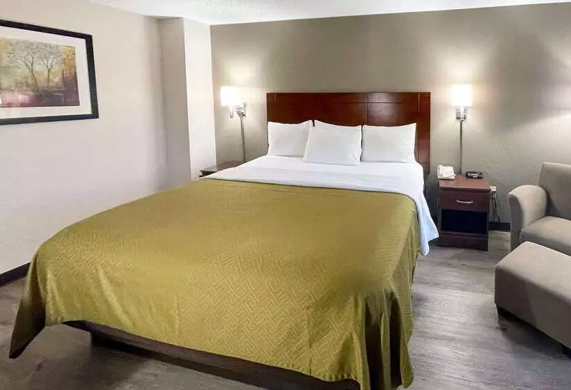 בית מלון כפרי Econo Lodge Cartersvilleemerson Lake Point