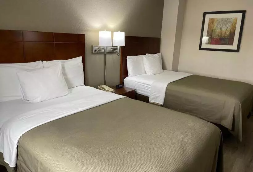 בית מלון כפרי Econo Lodge Cartersvilleemerson Lake Point