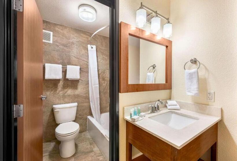 Ellis Island Hotel Casino & Brewery