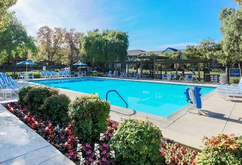 Hotel Four Points By Sheraton Pleasanton
