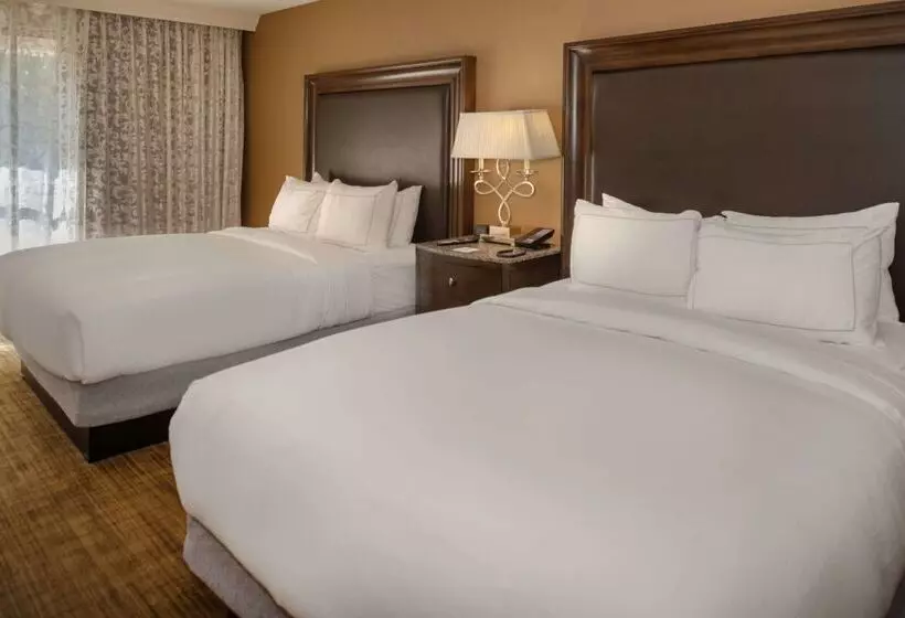 هتل Hilton St. Louis Airport