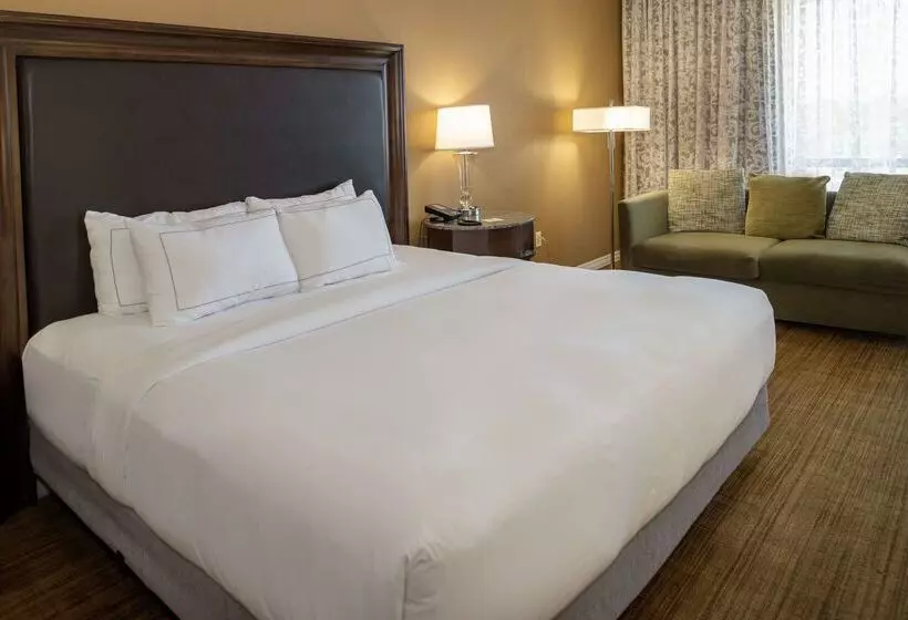 هتل Hilton St. Louis Airport