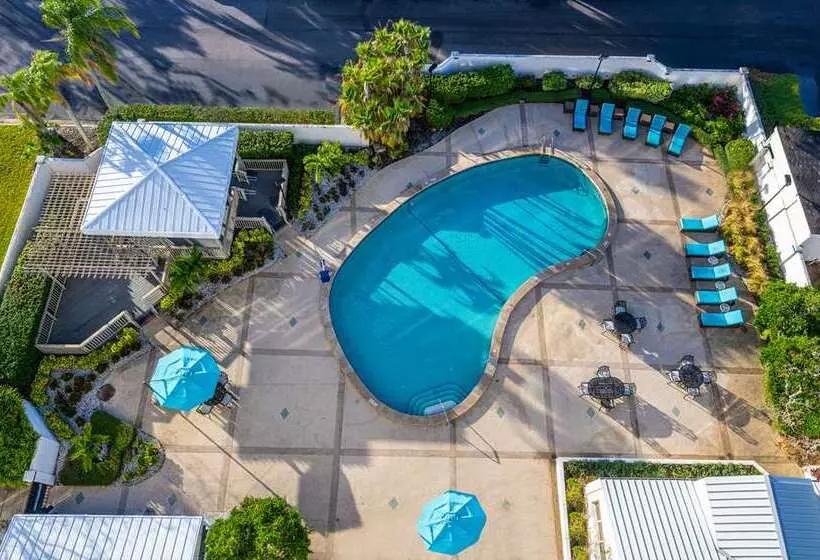 فندق Hilton Tampa Airport Westshore