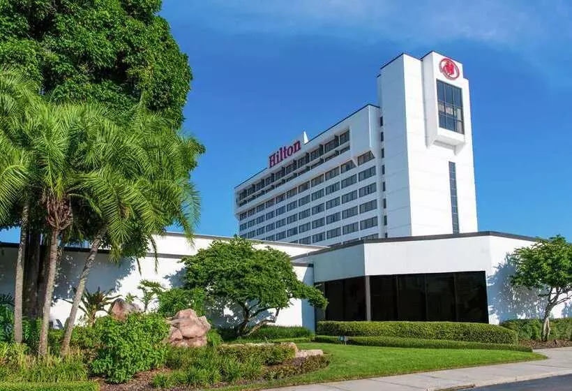 فندق Hilton Tampa Airport Westshore