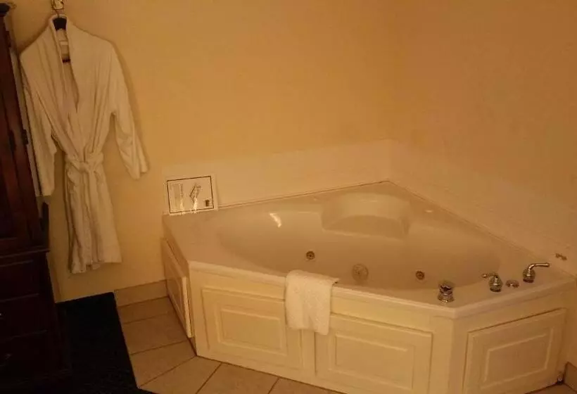 Imperial Swan Hotel And Suites Lakeland