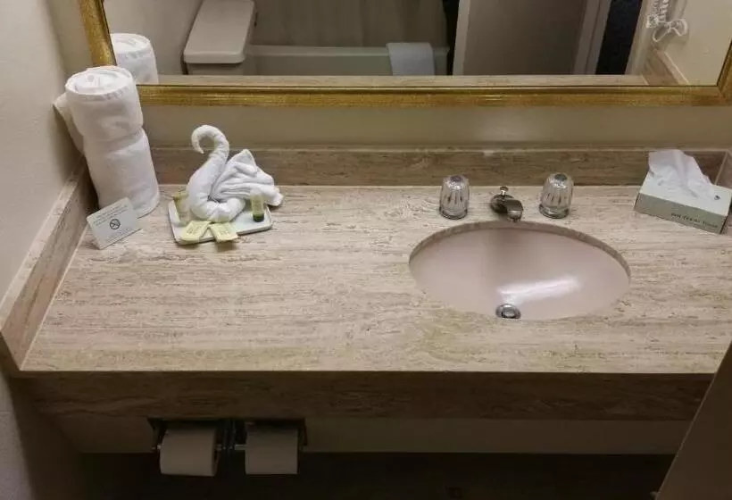 Imperial Swan Hotel And Suites Lakeland