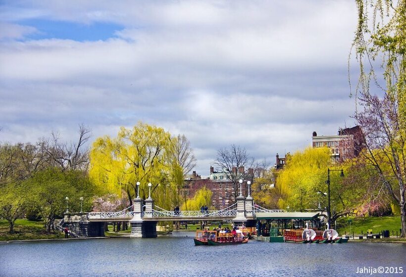 هتل The Colonnade