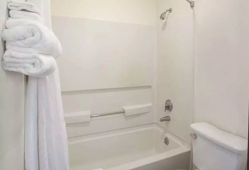 汽车旅馆  Super 8 By Wyndham Selma/fresno Area