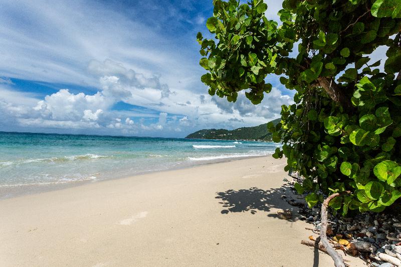 هتل Sebastians On The Beach