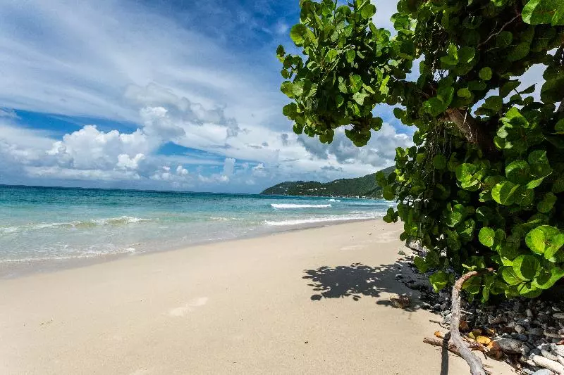 호텔 Sebastians On The Beach