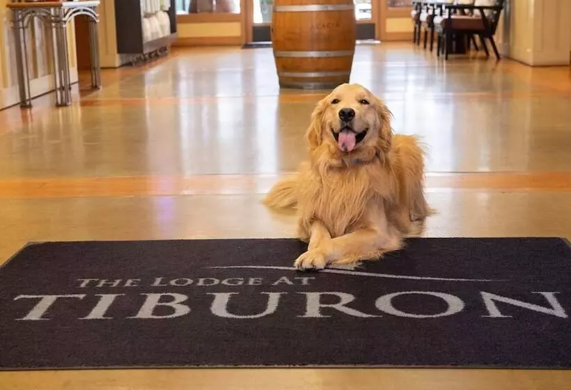 فندق The Lodge At Tiburon