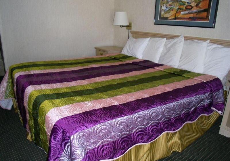 هتل Vagabond Inn Reno