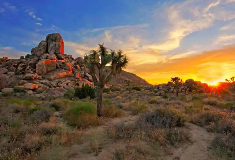 汽车旅馆 Economy Inn Barstow