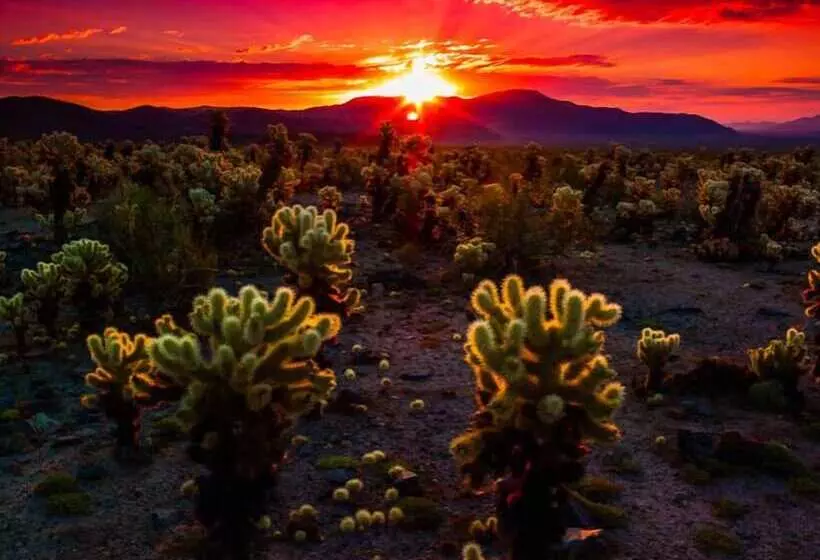 汽车旅馆 Economy Inn Barstow