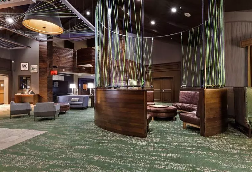 Resort Doubletree By Hilton Hotel Park City   The Yarrow